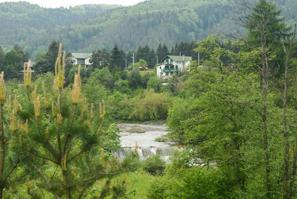 Vila Horia Bradet Hotel Sacele Exterior photo